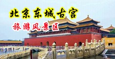 真人强奸视频免费观看大鸡巴中国北京-东城古宫旅游风景区